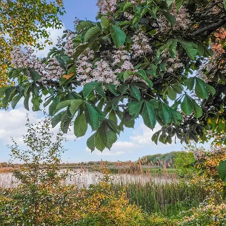 2 Bedroom Lovely In Casa vacanze