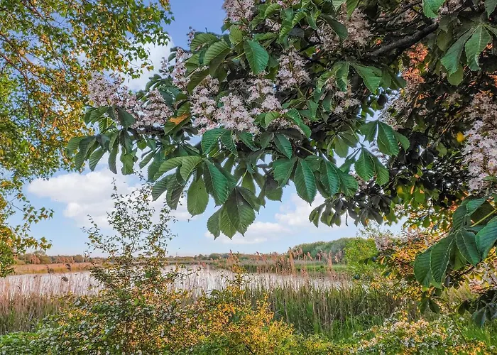 2 Bedroom Lovely In Casa de Férias